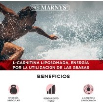 Carnitin 3000 - 14 Viales x 25 ml - Sem Glúten - Marnys