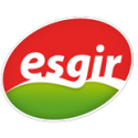 Esgir